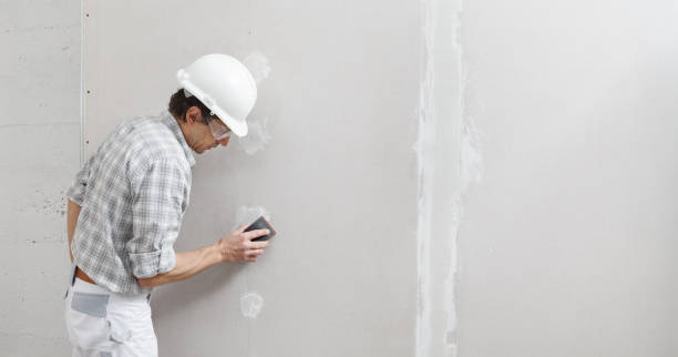 Best Drywall Crack Repair  in Gorevle, IL